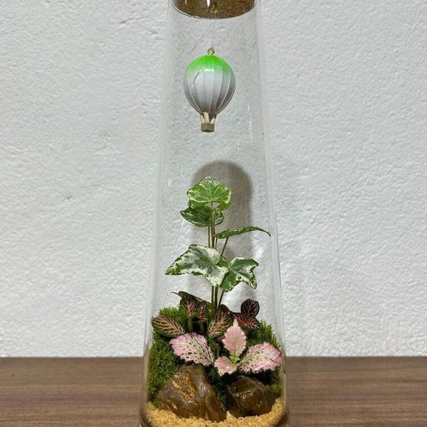 Terrário Sonhos Flutuantes