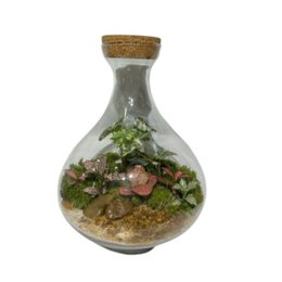 Imagem de Terrário Osaka