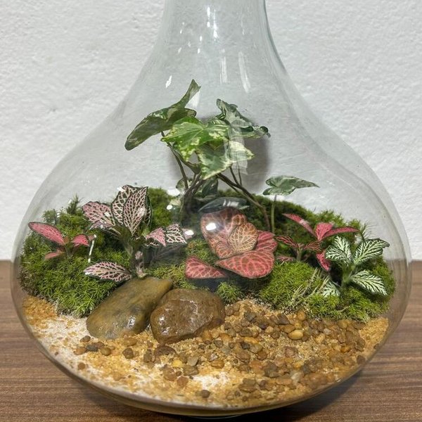 Terrário Osaka