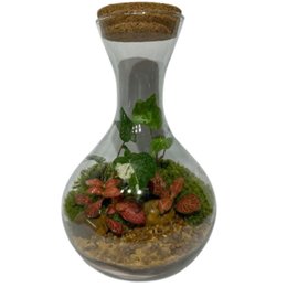 Imagem de Terrário Berlim