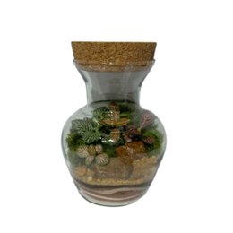 Imagem de Terrário Floreira