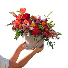 Imagem de Box Elegance Média Cinza