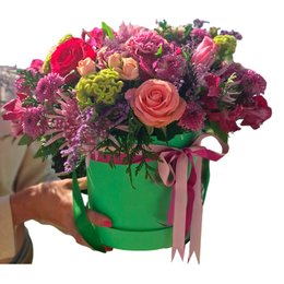 Imagem de Box Elegance Média Verde