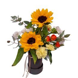 Imagem de Box Elegance Preta Mini