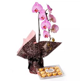 Imagem de Orquídea Mesclada com Ferrero Rocher