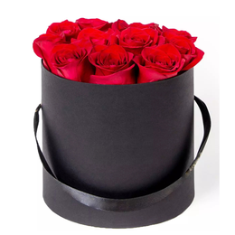 Imagem de Box Exclusive