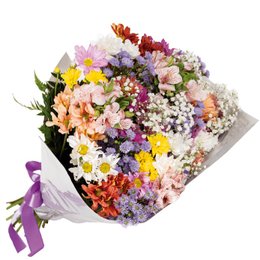 Imagem de Cores do Campo