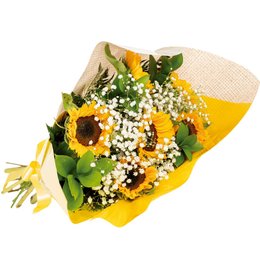 Imagem de Brilho do Sol