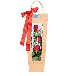 Imagem de Rosas na Bagagem