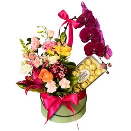 Imagem de Box de Orquídea com Flores Mistas - Luxo