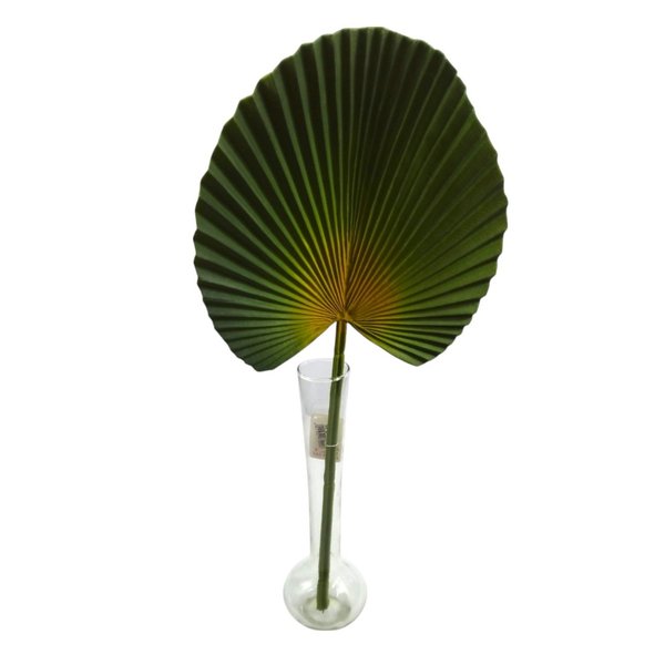Haste Palmeira Leque