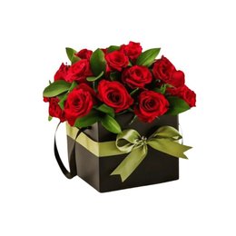 Imagem de Box com 20 Botões de Rosas Vermelhas