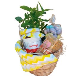 Imagem de Cesta Amêndoas