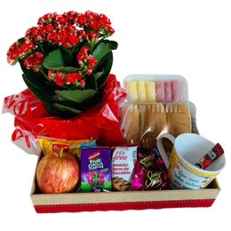 Imagem de Cesta de Café da Manhã, Flores e Chocolate