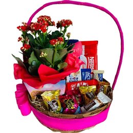 Imagem de Cesta de Chocolates Carinho