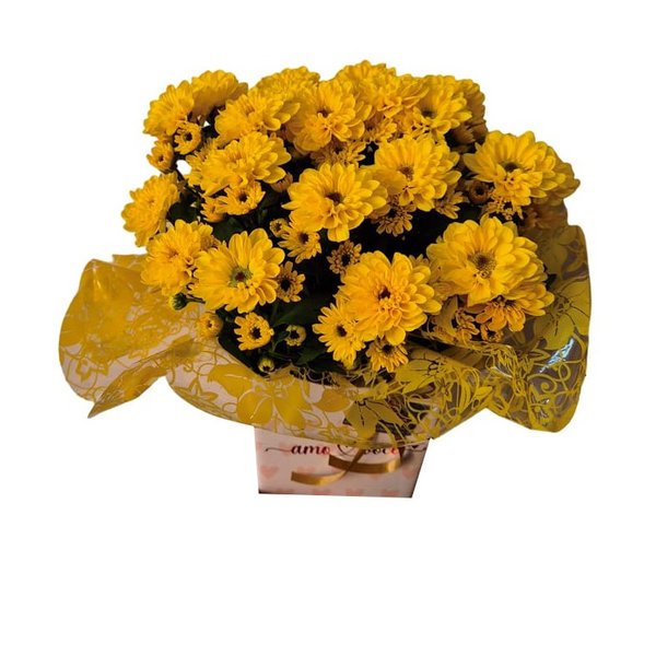 Mine Margarida
