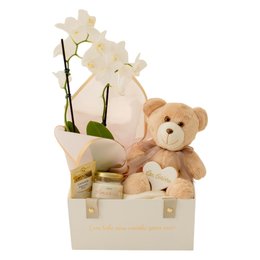 Imagem de Cesta Presente Ursinho Enchanté