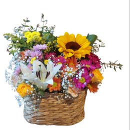 Imagem de Meu Jardim Encantado