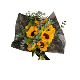 Imagem de Buquê de 10 Girasóis