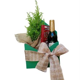 Imagem de Lembrança de Natal