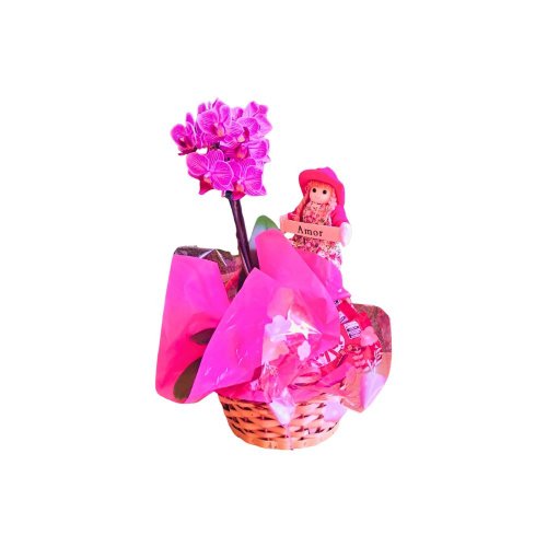 Cesta com Orquídeas Phalaenopsis Amor