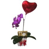 Orquídea lilás com Ferrero Rocher