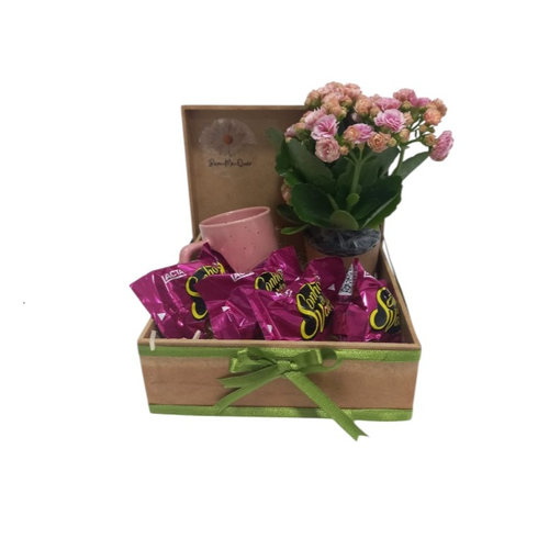 Kit Presente Especial Caneca, Flor da Fortuna e Bombom