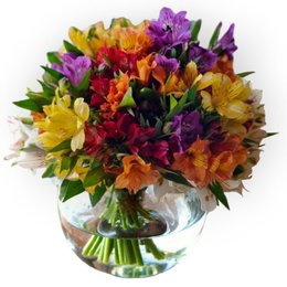 Imagem de Good Times Buquê Astromélias