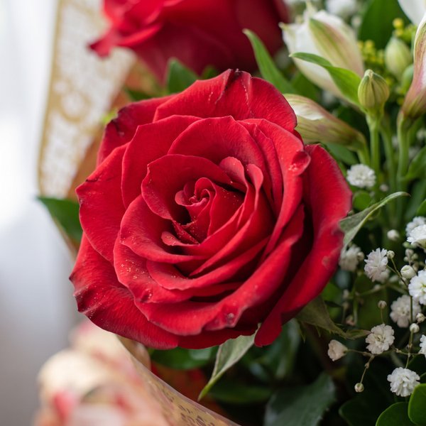 Buquê Surpreenda com Rosas 
