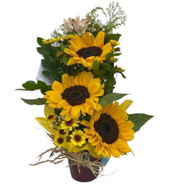 Imagem de surpreenda com arranjo no cone de girassol 