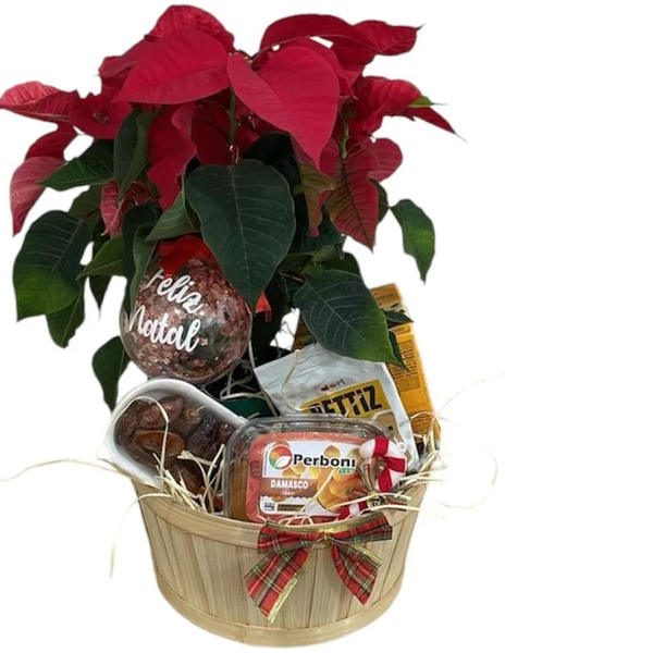 Essência Cesta de Natal