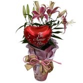Lírio Cor de Rosa com Balão Dia das Mães