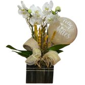 Orquídea Branca com Balão Feliz Dia das Mães