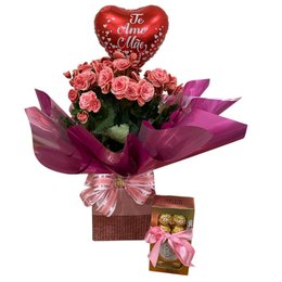 Imagem de Begônia  Rosa com Balão e Ferrero Rocher