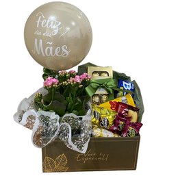 Imagem de Cesta com Chocolates, Balão e Vaso de Calandiva