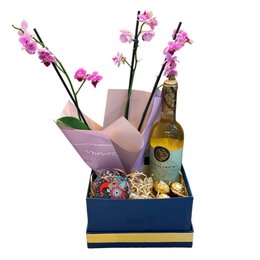 Imagem de Box para presentear 