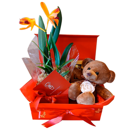 Imagem de Caixa para Presentear 