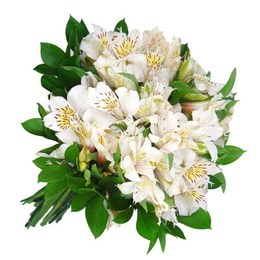 Imagem de Buquê Boas Lembranças