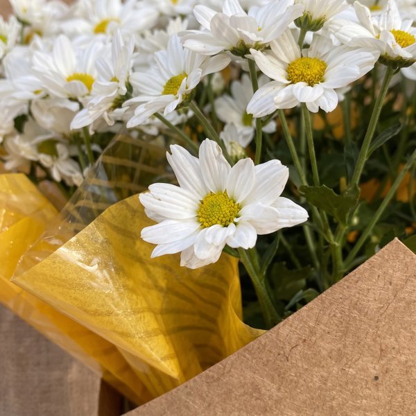 Mini Margarida na Caixa Box