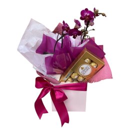 Imagem de Orquídea Roxa com Ferrero Rocher