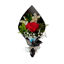 Imagem de Minizinho com 01