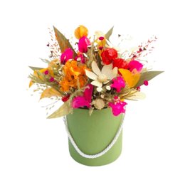 Imagem de Box Aurora 