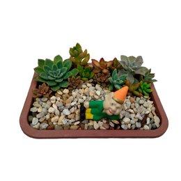Imagem de Arranjo de suculentas decorativo com Duende