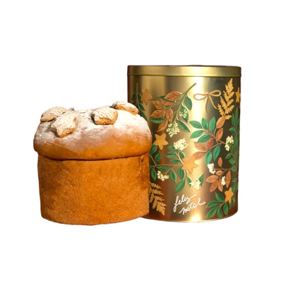 Lata Panettone Speculoos Biscoitê