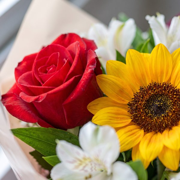 Buquê de Rosas Vermelhas Premium com Girassol