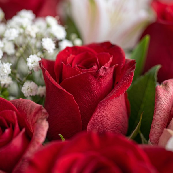 Buquê de Rosas Vermelhas Premium