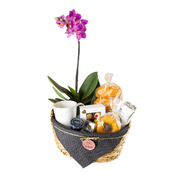Imagem de Cesta Afeto em Flor 