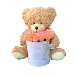 Imagem de Box de rosas com urso
