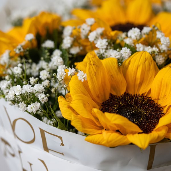 Buquê Tradicional de Girassol