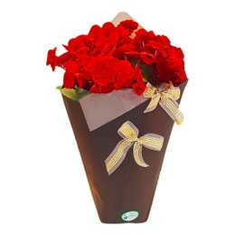 Imagem de Begônia Vermelha Cone